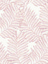Finnley Inked Fern wallpaper in pink color - pattern number 2973-90502 - by A Street Prints in the Daylight collection