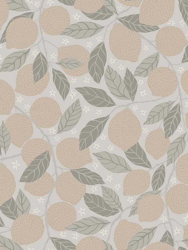 Lemona Fruit Tree wallpaper in grey color - pattern number 2999-44117 - by A Street Prints in the Annelie collection