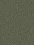 Anna Fern Trail wallpaper in dark green color - pattern number 2999-55000 - by A Street Prints in the Annelie collection