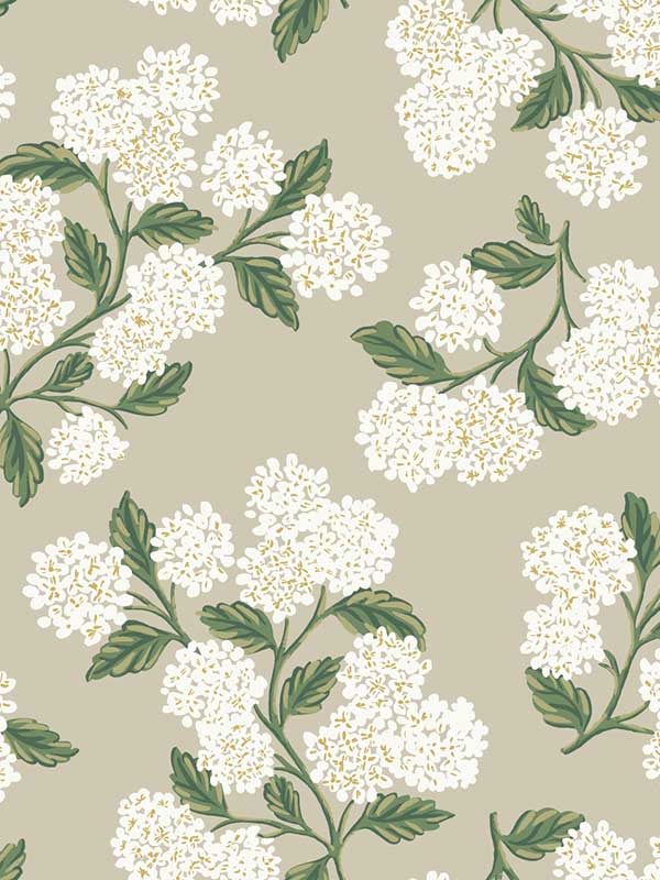 Hydrangea fabric in beige color - pattern number RP7394 - by Rifle Paper Co in the Rifle Paper Co Second Edition collection