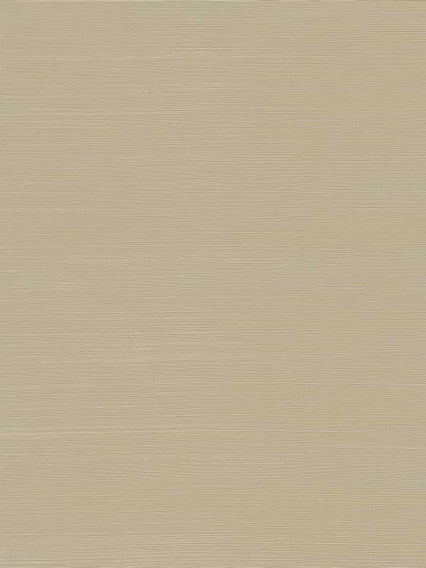 Sakiya Grasscloth fabric in neutral color - pattern number 2923-86136 - by A Street Prints in the Twine collection