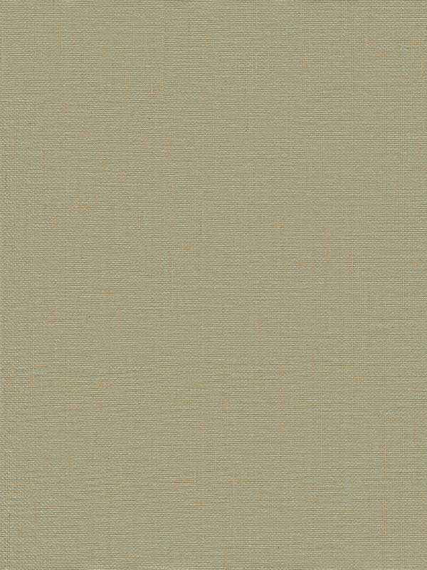 Yanyu Paper Weave fabric in sage color - pattern number 2923-86143 - by A Street Prints in the Twine collection