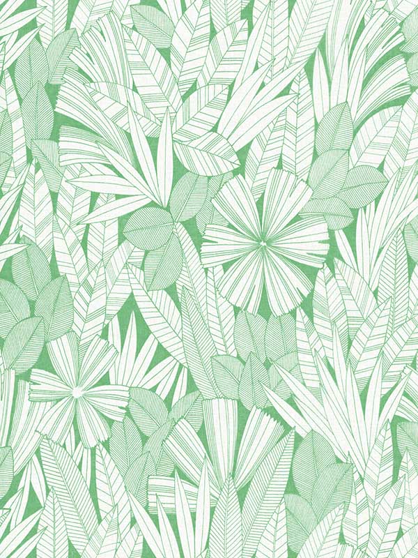 Bannon Leaves wallpaper in green color - pattern number 4081-26345 - by A Street Prints in the Happy collection