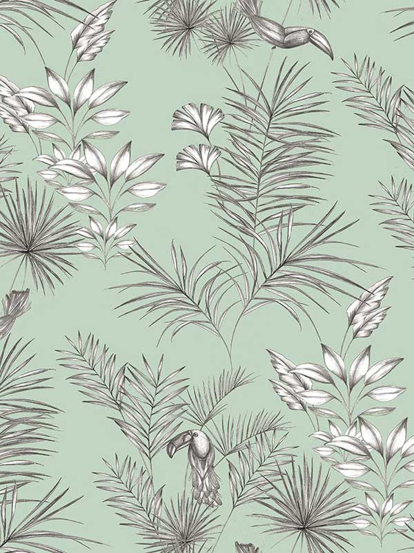 Toucan Toile wallpaper in mint color - pattern number WLD53113W - by OhPopsi in the Wild collection