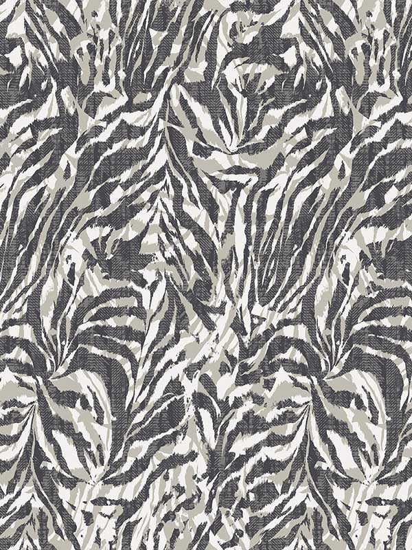 Zebra wallpaper in charcoal color - pattern number WLD53135W - by OhPopsi in the Wild collection