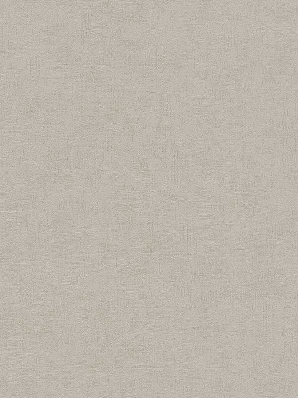 Steno Plaster wallpaper in taupe color - pattern number 4082-381976 - by Advantage in the Titanium Advantage collection