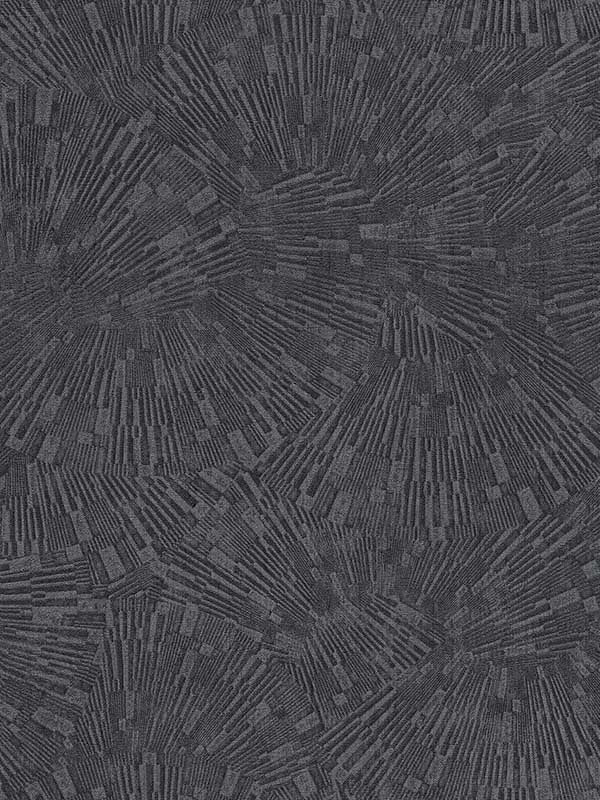 Agassiz Burst wallpaper in black color - pattern number 4082-382035 - by Advantage in the Titanium Advantage collection