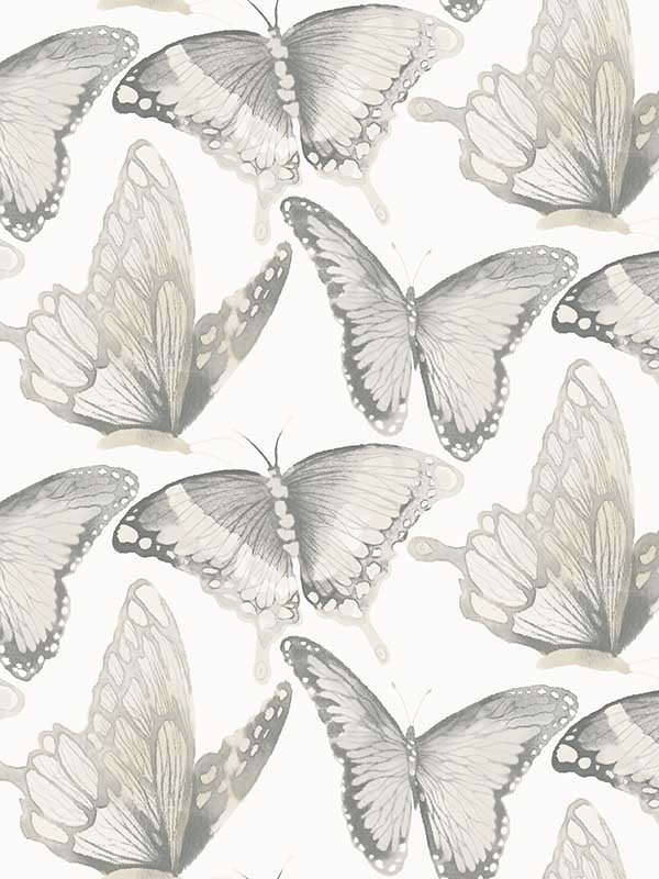 Janetta Butterfly fabric in grey color - pattern number 3124-13931 - by Chesapeake in the Thoreau collection