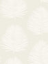Island Palm wallpaper in alabaster color - pattern number SL80700 - by Seabrook in the The Simple Life collection