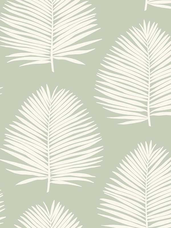 Island Palm wallpaper in celadon color - pattern number SL80704 - by Seabrook in the The Simple Life collection