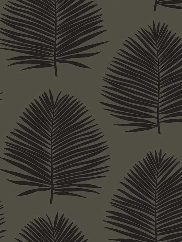 Island Palm wallpaper in lava rock color - pattern number SL80710 - by Seabrook in the The Simple Life collection