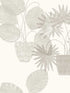 Aida Potted Plant fabric in light grey color - pattern number 4014-87555 - by A Street Prints in the Seychelles collection