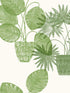 Aida Potted Plant fabric in green color - pattern number 4014-87558 - by A Street Prints in the Seychelles collection