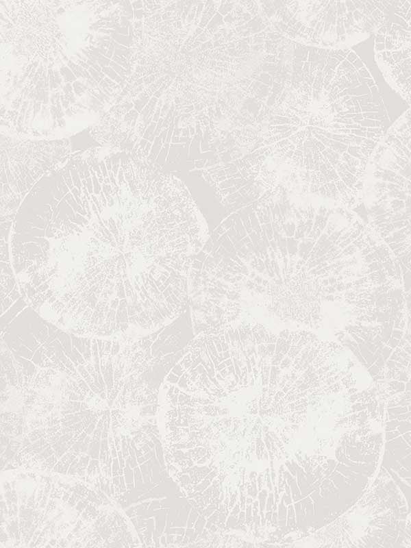 Eren wallpaper in fog grey color - pattern number JP10700 - by Seabrook in the Japandi Style collection