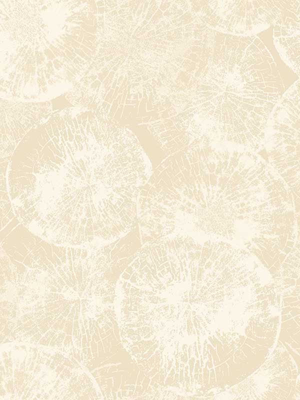 Eren wallpaper in soft beige color - pattern number JP10705 - by Seabrook in the Japandi Style collection