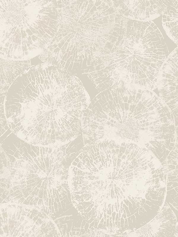 Eren wallpaper in dove grey color - pattern number JP10707 - by Seabrook in the Japandi Style collection
