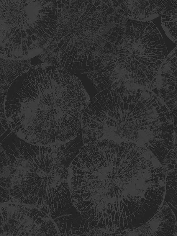 Eren wallpaper in rich onyx color - pattern number JP10710 - by Seabrook in the Japandi Style collection