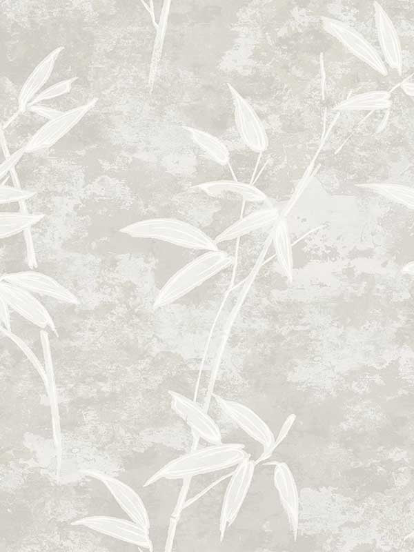 Honshu Bamboo wallpaper in henon gray color - pattern number JP10908 - by Seabrook in the Japandi Style collection