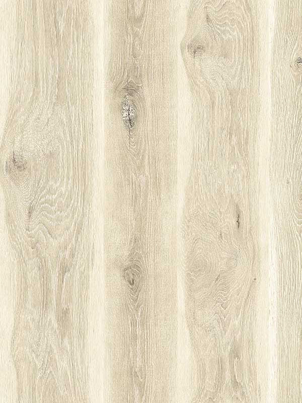 Kieri wallpaper in oat color - pattern number JP11306 - by Seabrook in the Japandi Style collection