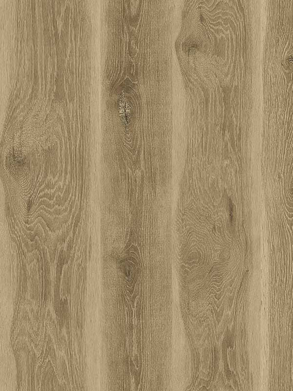 Kieri wallpaper in walnut color - pattern number JP11307 - by Seabrook in the Japandi Style collection