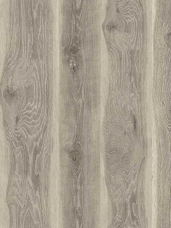 Kieri wallpaper in ash brown color - pattern number JP11315 - by Seabrook in the Japandi Style collection