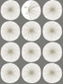 Soho Starburst Peel and Stick fabric in grey color - pattern number PSW1217RL - by York in the Risky Business Vol III Peel and Stick Wallpaper collection