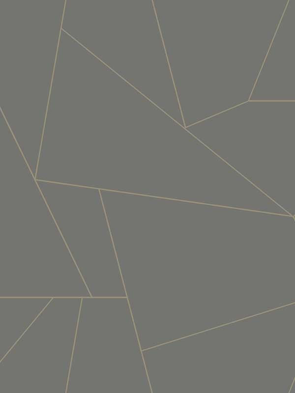 Fractured Prism Peel and Stick fabric in grey color - pattern number PSW1233RL - by York in the Risky Business Vol III Peel and Stick Wallpaper collection