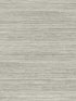 Fountain Grass fabric in onyx color - pattern number GO8304 - by York in the Greenhouse collection