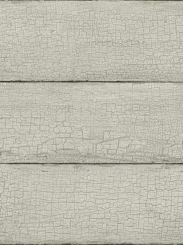 Morgan Distressed Wood fabric in grey color - pattern number 4072-70012 - by Chesapeake in the Delphine collection