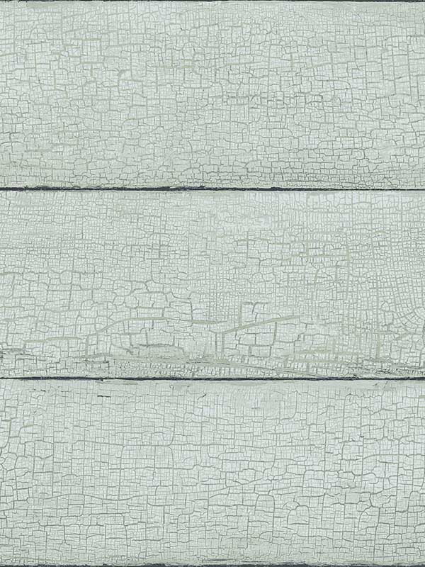 Morgan Distressed Wood fabric in seafoam color - pattern number 4072-70013 - by Chesapeake in the Delphine collection