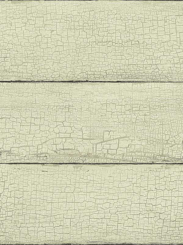 Morgan Distressed Wood fabric in mint color - pattern number 4072-70014 - by Chesapeake in the Delphine collection
