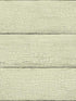 Morgan Distressed Wood fabric in mint color - pattern number 4072-70014 - by Chesapeake in the Delphine collection