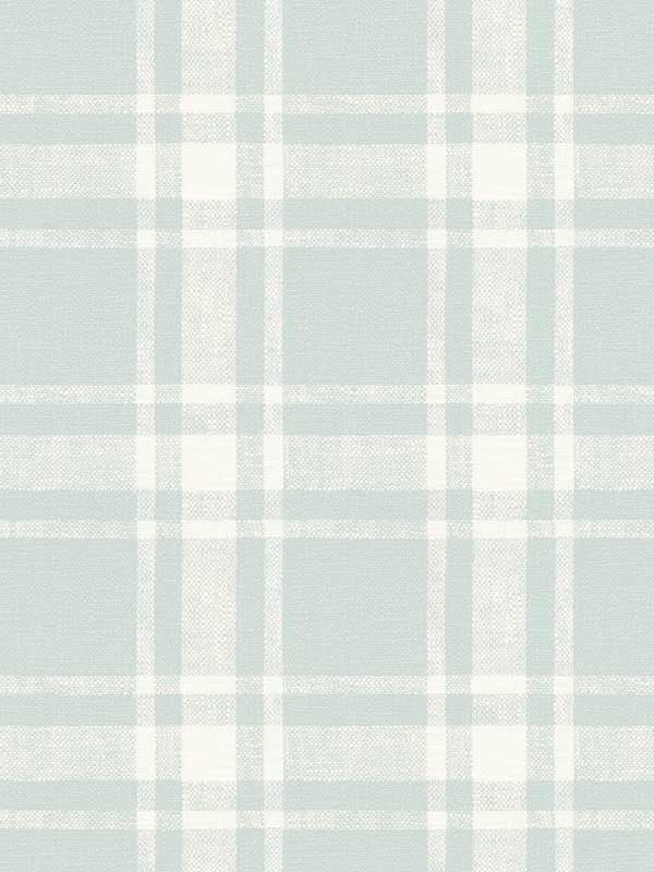 Antoine Flannel fabric in light blue color - pattern number 4072-70016 - by Chesapeake in the Delphine collection