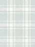 Antoine Flannel fabric in light blue color - pattern number 4072-70016 - by Chesapeake in the Delphine collection