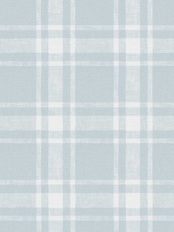 Antoine Flannel fabric in sky blue color - pattern number 4072-70017 - by Chesapeake in the Delphine collection