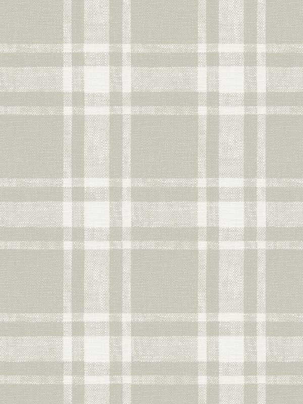 Antoine Flannel fabric in taupe color - pattern number 4072-70018 - by Chesapeake in the Delphine collection