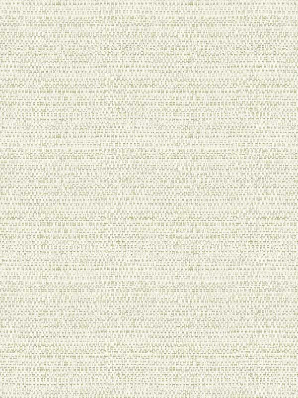 Balantine Weave wallpaper in sage color - pattern number 4072-70057 - by Chesapeake in the Delphine collection