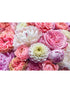 Vibrant Spring 8 Panel fabric in pink color - pattern number 8-335 - by Brewster in the Komar Colours collection