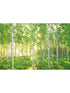 Sunday 8 Panel fabric in green color - pattern number 8-519 - by Brewster in the Komar Colours collection