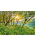 Spring Lake 8 Panel fabric in green color - pattern number 8-524 - by Brewster in the Komar Colours collection