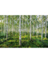 Sunny Day 8 Panel fabric in green color - pattern number 8-744 - by Brewster in the Komar Colours collection