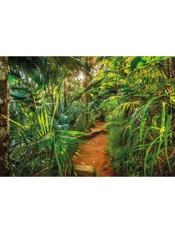 Jungle Trail 8 Panel mural in green color - pattern number 8-989 - by Brewster in the Komar Colours collection
