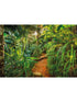 Jungle Trail 8 Panel mural in green color - pattern number 8-989 - by Brewster in the Komar Colours collection