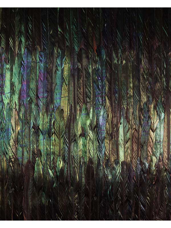 Dark Wings 4 Panel mural in black color - pattern number X4-1081 - by Brewster in the Komar Colours collection
