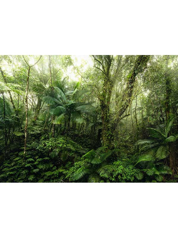 Mindfulness 7 Panel mural in green color - pattern number X7-1009 - by Brewster in the Komar Colours collection