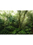 Mindfulness 7 Panel mural in green color - pattern number X7-1009 - by Brewster in the Komar Colours collection