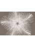 Federstern 4 Panel mural in neutral color - pattern number XXL4-006 - by Brewster in the Komar Colours collection