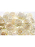 Rose 4 Panel mural in ivory color - pattern number XXL4-007 - by Brewster in the Komar Colours collection