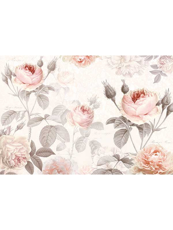 La Maison 4 Panel mural in pink color - pattern number XXL4-034 - by Brewster in the Komar Colours collection