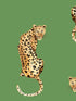 Leopard King Peel and Stick fabric in green color - pattern number DB20204 - by NextWall in the Peel and Stick Wallpaper by Daisy Bennett collection